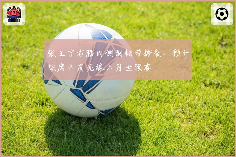 张玉宁右膝内侧副韧带撕裂,预计缺席六周无缘六月世预赛