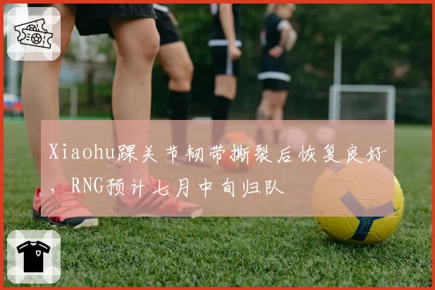 Xiaohu踝关节韧带撕裂后恢复良好，RNG预计七月中旬归队
