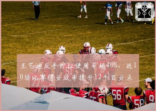 王艺迪反手拧拉使用率超40%，近10场比赛得分效率提升12个百分点